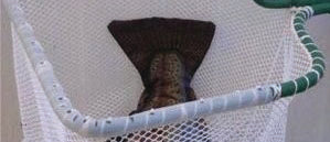 Duranet Fingerling D Replacement Net Protector